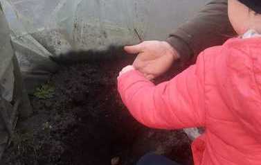 IMG-20210422-WA0002