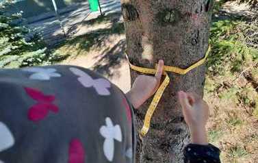 IMG-20211010-WA0017