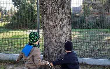 IMG-20211010-WA0016