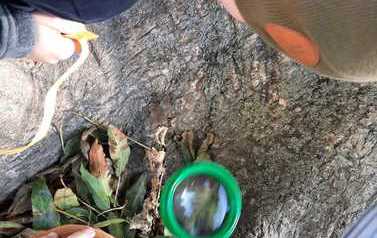 IMG-20211010-WA0012