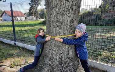 IMG-20211010-WA0011