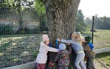 IMG-20211010-WA0009