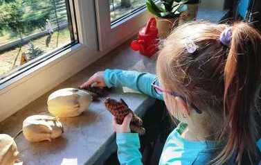 IMG-20211010-WA0007