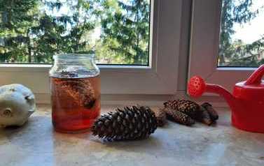 IMG-20211010-WA0003