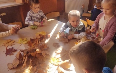 Dzień Drzewa 9