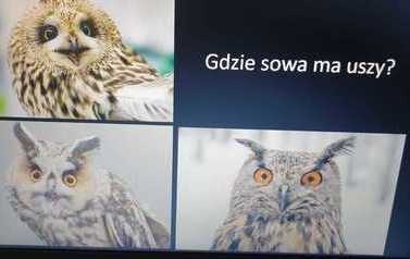 img-20230401-wa0022