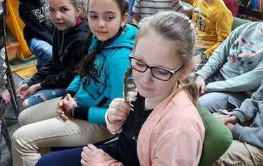 img-20230331-wa0007