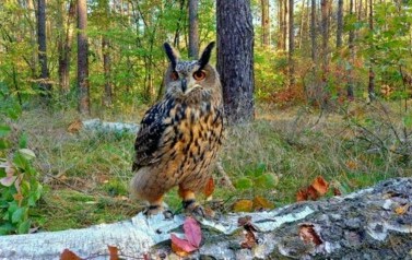Nagrodzone i wyr&oacute;żnione zdjecia, fot. A. Walkowska (2)