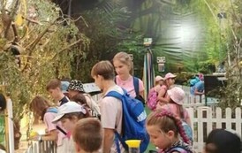 FB_IMG_1720467612499