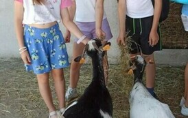 FB_IMG_1720467584361