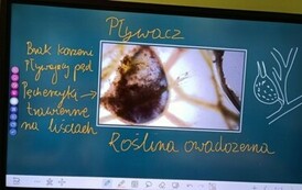 Spotkanie grupy z owadożernymi wodnymi roślinami.