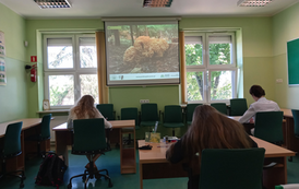 Uczniowie w czasie  rozpoznawania gatunk&oacute;w ze zdjeć 