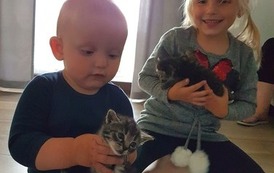 273880653_316238650473646_6735203033384488932_n