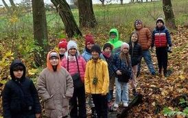 Piękno przorody 1,maxwidth,1920,maxheight,933