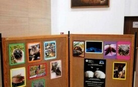 Nagrodzone i wyr&oacute;żnione zdjecia, fot. A. Walkowska (1)