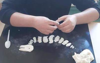 Zdjęcie do Dzień Dinozaura w grupie  6 -latk&oacute;w, fotorelacja